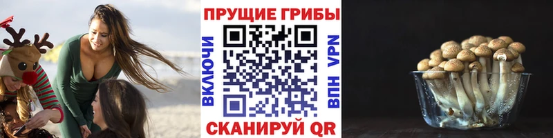 Псилоцибиновые грибы Psilocybe  OMG онион  Обоянь 